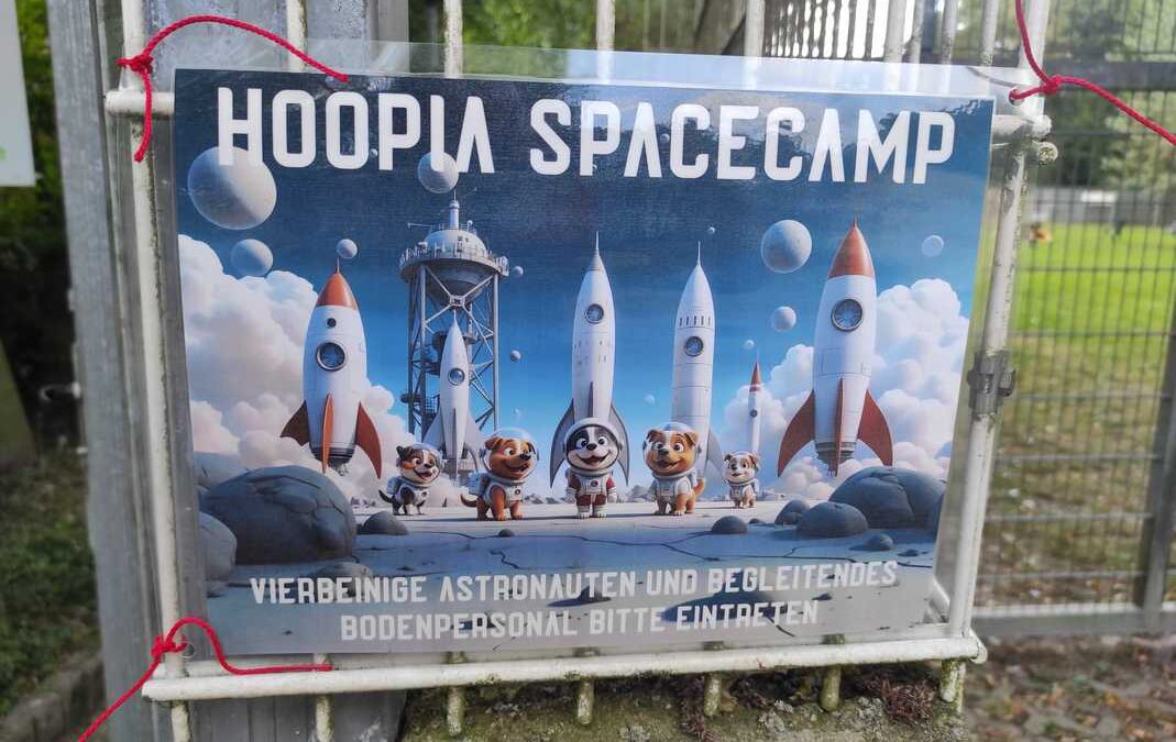 dog-adventure-hoopia-weltall-01