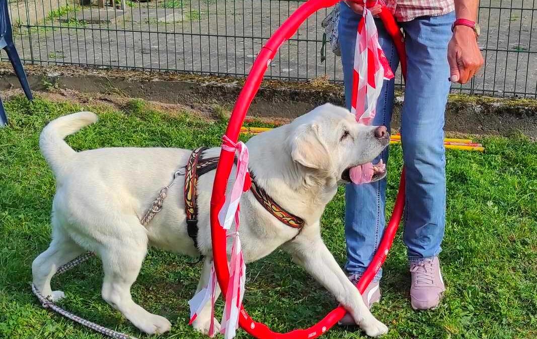 dog-adventure-hoopia-weltall-10